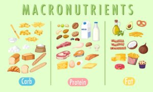 Understanding Your Nutrients