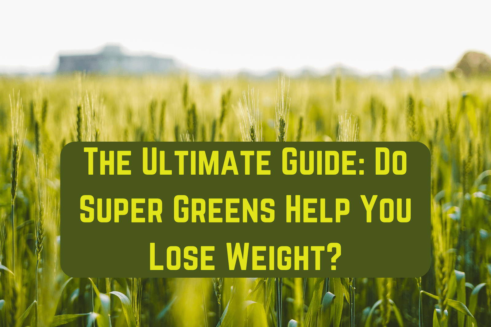 Do Super Greens Help You Lose Weight?