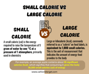 Small Calorie vs Large Calorie