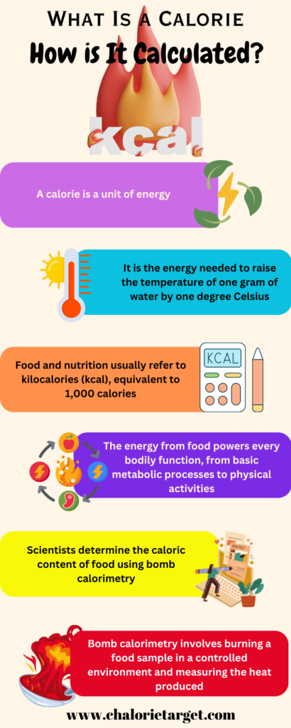 What Is a Calorie and How Is It Calculated?